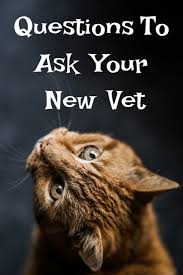 Some practices specialize in a type of pet patient care such as; Questions To Ask Your New Vet Me Him And The Cats This Or That Questions Vets Pet Emergency