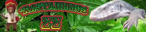1.2 what is a pest strip? Hot Shot No Pest Strips Uk Supplier Anyone