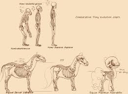 760513 Analysis Anatomy Artist Countcarbon