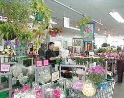 Always on time, farm direct delivery! About Us Norfolk Wholesale Floral Norfolk Va