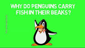 Kids Joke 63 Penguins Jokes For Kids Fishing Jokes Funny Jokes For Kids