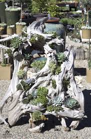 26 Ideal Succulent Garden Suggestions Around The World Succulentgardenideas Succulentgardenrocks Succulentgardenoutdoor Suc Garten Garten Design Garten Ideen