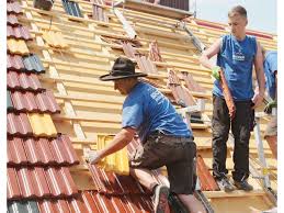 Bunte Dachziegel Doppelmuldenfalz In Der Denkmalpflege