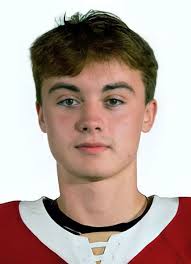 Player photos for the 2019-20 Acadie-Bathurst Titan at hockeydb.com