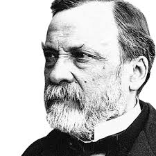 Heroes of Wine: Louis Pasteur (1822-1895) ~ The Wine Stalker