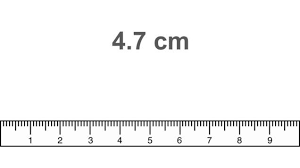 Looking for a metric ruler worksheet? Metric Ruler Guided Practice For Cm Mm Middle School Science Blog