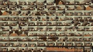 Porno de roblox con mi esposa - XNXX.COM