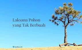 Dalam tasawuf, pengetahuan dinilai kosong tanpa pengamalan. Hadits Tentang Ilmu Yang Tidak Diamalkan Bagaikan Pohon Yang Tidak Berbuah Sumber Ilmu