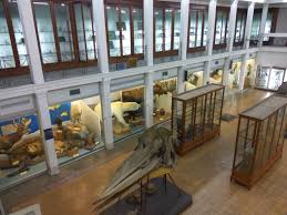 O departamento de zoologia está localizado dentro do centro de biociências, tendo sua secretaria localizada no primeiro andar do centro. Museo Di Zoologia E Casa Delle Farfalle Universita Di Catania Posts Facebook