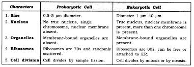 Check spelling or type a new query. Class 9 Science The Fundamental Unit Of Life Free Study Material Cbse Sample Papers Books Studyguide360