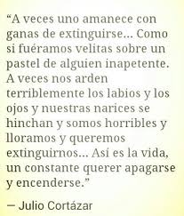 Julio Cortazar Extinguirse Frases Bonitas Cortazar Cortazar Frases