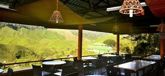 Sedikit info mengenai cameron highland. Sungai Palas Tea Boh Garden Cameron Highland Part Of Me