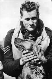 Sergeant Pilot With The Squadron Mascot Picture Ca 1942 War Dogs Military Dogs Man Of War