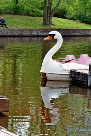 bootsvermietung dornheim cafe restaurant zur gondel tretboot schwan tretboot schwan flottbek