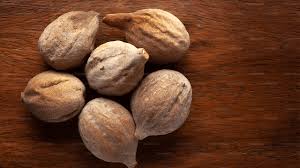 Image result for Terminalia bellirica