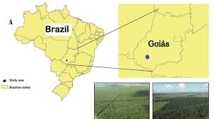 Note that the postal code may be searched with nearby approximation. Localization Of The Study Area Jatai Goias State Brazil And Aerial Download Scientific Diagram