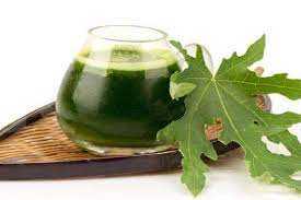 Penelitian ini dilakukan pada 24. 9 Manfaat Daun Pepaya Untuk Kesehatan Yang Jarang Diketahui