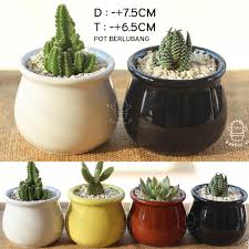 Check spelling or type a new query. 3 Pot Keramik Saja Tanaman Kaktus Sukulen Mini Kaca Putih Unik Warna Lucu Pottery Vas Bunga Kado Shopee Indonesia