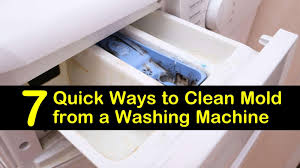 Keep the door ajar and the dispenser lid open front loading washing machines are almost as well known for the mold that settles on the front seal as they are for their energy efficiency and gentle. 7 Quick Ways To Clean Mold From A Washing Machine