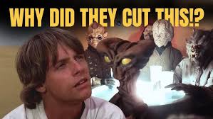 Star Wars' Superfan Daniel Fleetwood Dies at 32