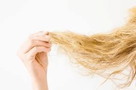 Method 1of 3:detangling wet hair. How To Detangle Matted Hair Untangle Knots Painlessly Fast