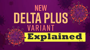 India says new 'delta plus' coronavirus variant may be more transmissible india has detected over 40 cases of a new coronavirus variant called delta plus, which may be more transmissible and. Gkr6lrehtui8bm