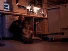 #i am legend #i am legend full movie #i am legend trailer. I Am Legend Gifs Tenor