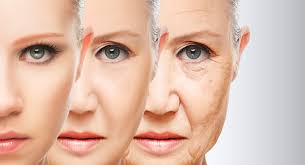 Rebecca Korwin PhD, State Industrial Products, Is Chair of HCPA