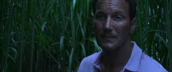 Nell'erba alta (2019): Ai confini dell'erbosità