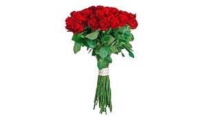 Download Why Cut Flowers Don T Cut It For Me Financial Times