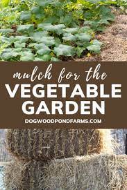 Best Mulches To Use In The Vegetable Garden Mulch For Vegetable Garden Types Of Mulch Garden Mulch