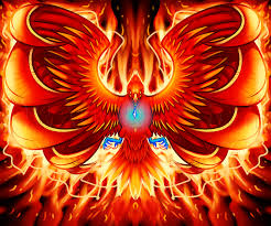 Search 8040 phoenix bird posters, art prints, and canvas wall art. Drawing A Phoenix Step By Step Step By Step Drawing Guide By Dawn Dragoart Com