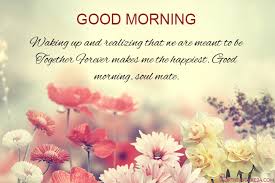 Here, we will focus on pressing and drying plant material to make your own set of greeting cards. Lovely Flower Good Morning Wishes Cards Making