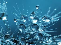Check spelling or type a new query. Hd Wallpaper Purity Water Drops Aero Macro Blue Nature Light Splash Wallpaper Flare