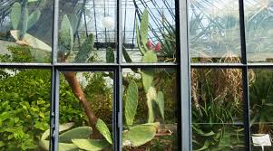 Der botanische garten kiel setzt bereits seit über 20 jahren keine pestizide mehr in der schaugewächshausanlage ein. Alter Botanischer Garten Zurich Zurich By Tram