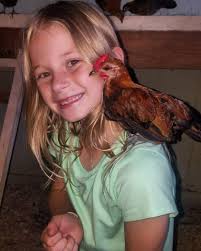 Feather and a rose... Mr . Feathers