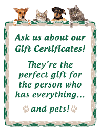 Compassionate care for your furry friend. Veterinarians Green Valley Az Animal Care Center Of Green Valley