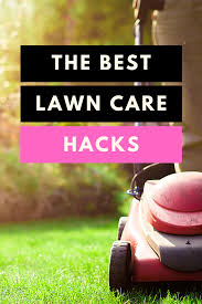 The process begins by using science to simplify and enhance lawn care. The Best Lawn Care Hacks In 2020 Lawn Care Lawn Lawn And Garden