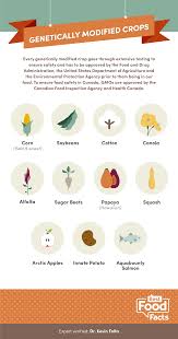 At first, the level of scientific inquiry was driven by the need to establish the model. What Foods Are Genetically Modified Bestfoodfacts Org