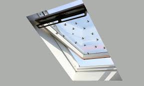 Maybe you would like to learn more about one of these? Flies In Skylight What To Do