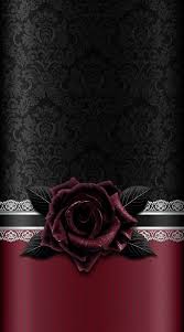 Black And Rose Gold Wallpaper Pin By Ann H Wagner On Luxury Black Roses Wallpaper Rose Wallpaper Gold Wallpaper Iphone