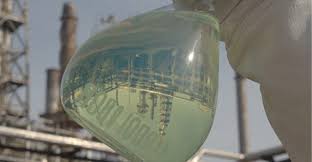 The company is engaged in prospecting, drilling, refining, processing, trading and transporting crude oil from. Petrobras Concludes Tests For Renewable Diesel Production Bioenergy International