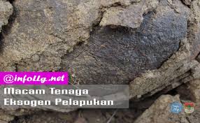 Tenaga eksogen ini berlawanan dengan tenaga endogen yang bersifat membangun permukaan bumi. Penjelasan Tenaga Endogen Dan Eksogen Plus Contoh Lengkapnya