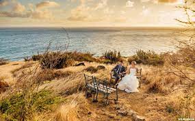 Wedding photography business taylor jackson photography photography business photo wedding beach wedding coral wedding photographers bride and groom photo. Taylor Jackson Photography Facebook