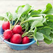 Hạt Giống Củ Cải Cherry Đỏ】Thực Phẩm Giàu Vitamin A, C, Vitamin ...