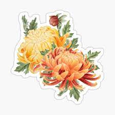 Chrysanthemum Gifts Merchandise Redbubble