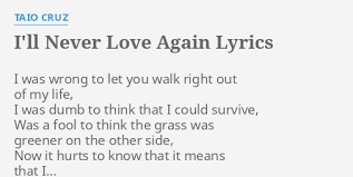 I Ll Never Love Again Lyrics By Taio Cruz I Was Wrong To I wish i could but i just won't. i ll never love again lyrics by taio