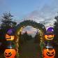 Halloween & Spooky Hunt at Welford Christmas Tree ... event in Northampton