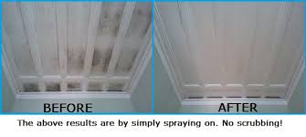 It can also cause permanent damage to your home and must always be treated as soon as possible. How To Clean Remove Mould Off Ceilings Curtain Mould Remover Nz