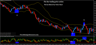 pin bar trading price action forex strategies forex